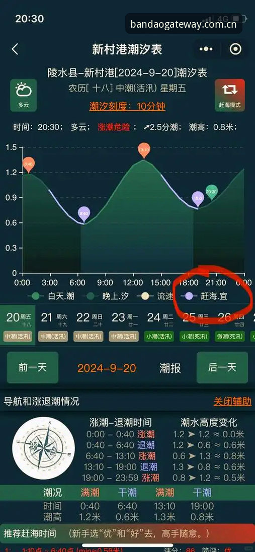 体育官网安卓版下载避坑指南：半岛体育平台这些细节你留意过吗？
